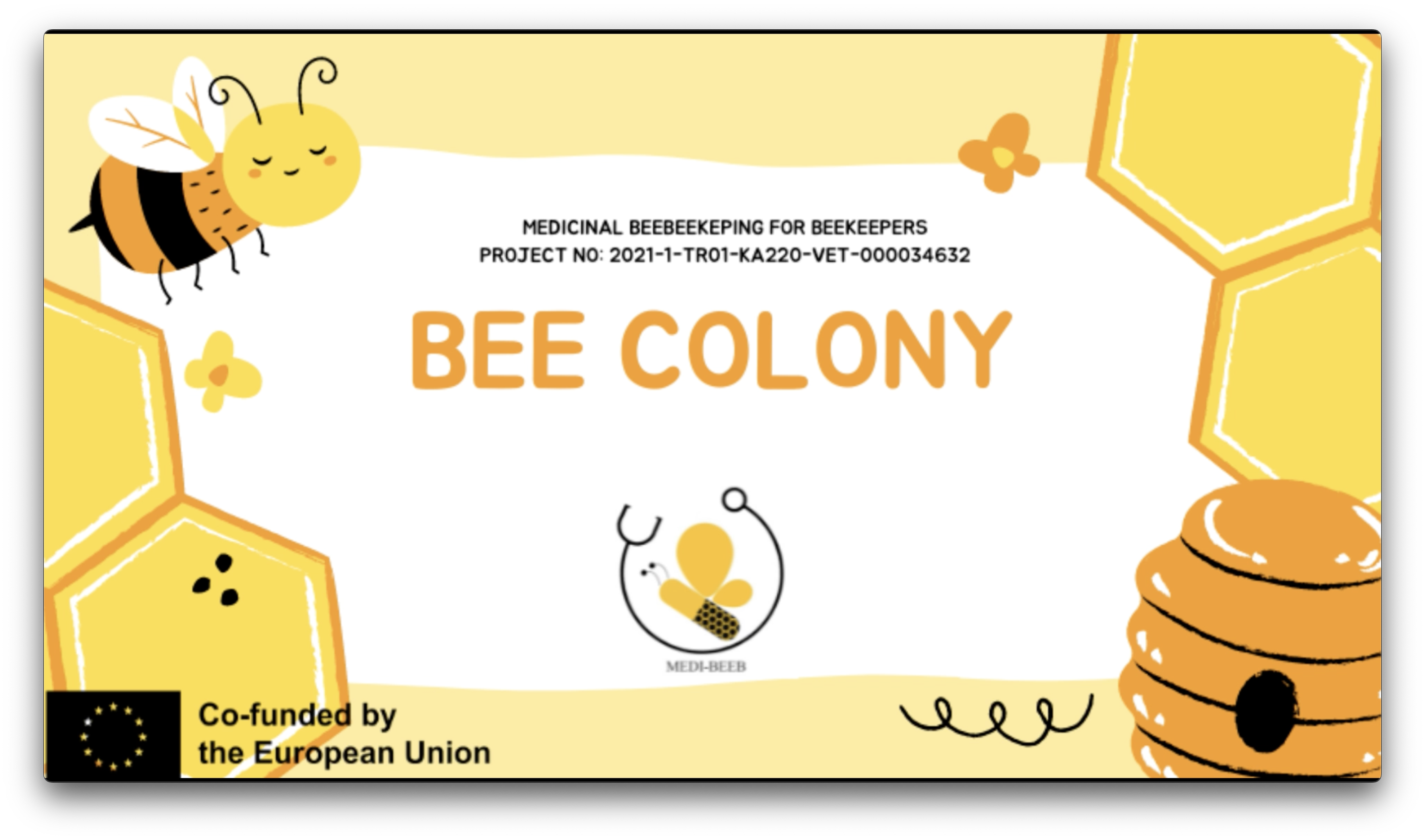 BEE COLONY EN